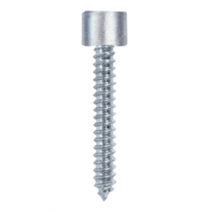 Vite Testa Cilindrica con...